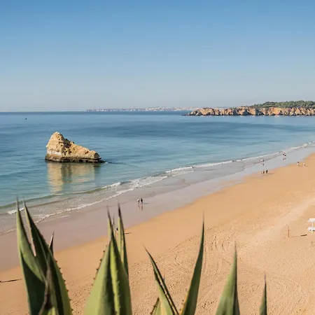 Atlantic View Com Piscina *